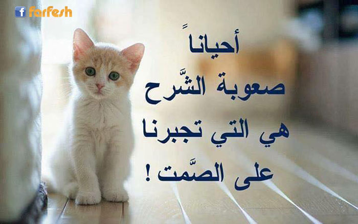 ���� ����