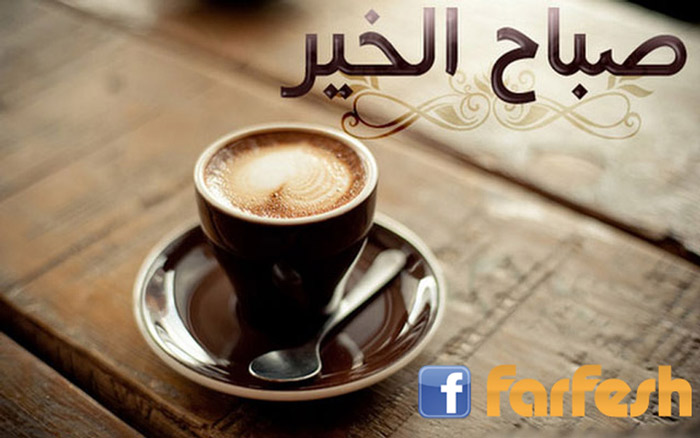 ���� ������� 