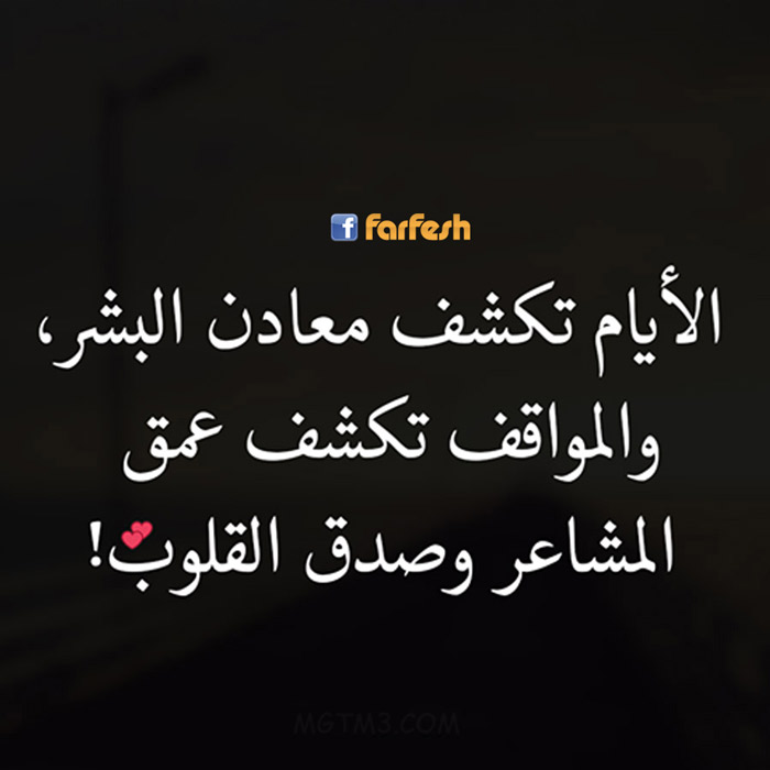 ��� ������ ���� ����� ����