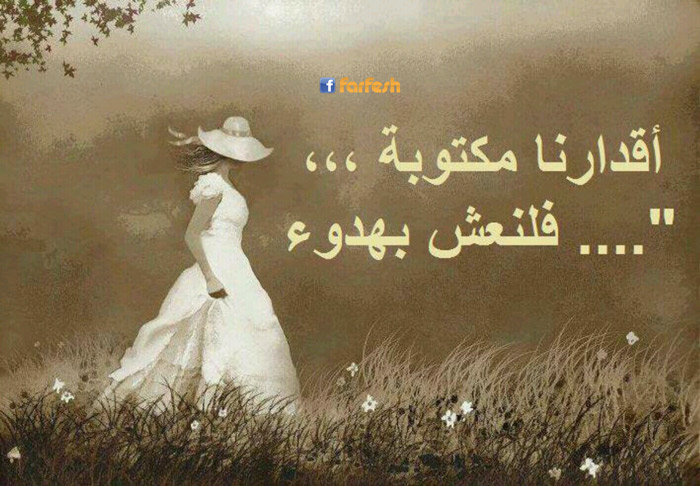 ������ ����� 