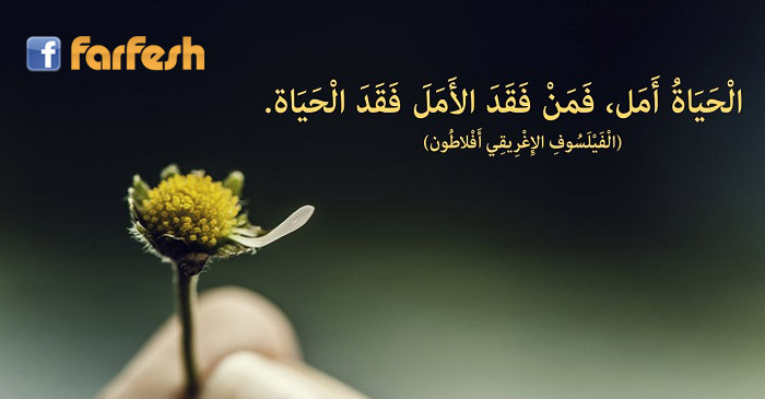 �� ����� �������