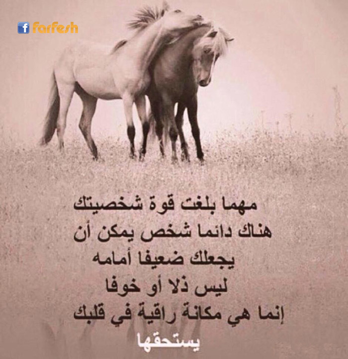 ����� ����� ��� ���� �� ������