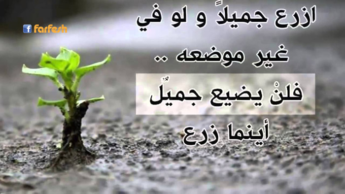 �� ���� ���� ����� ���