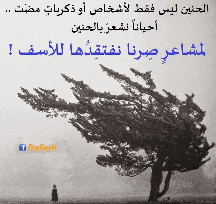 ���� ����� ������ �������� 