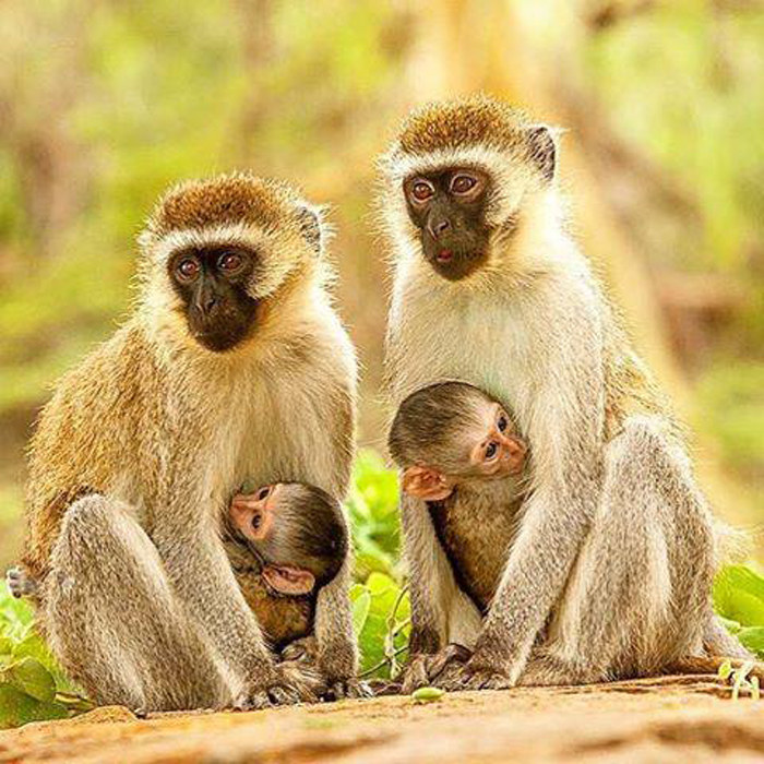 ������� �������..����