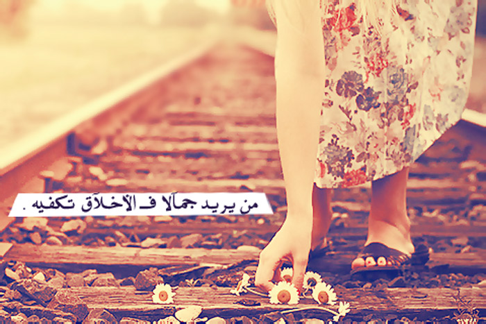 �� ���� ������ �������� �����