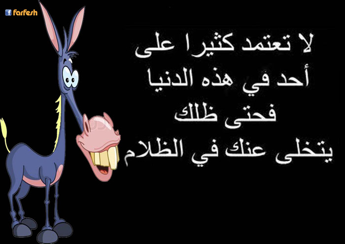 ��� ��� ����� ��� �� �����