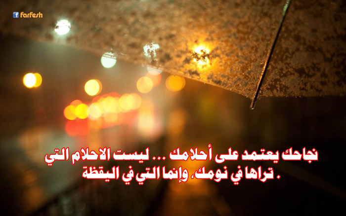 ���� ���� ���� ���� 