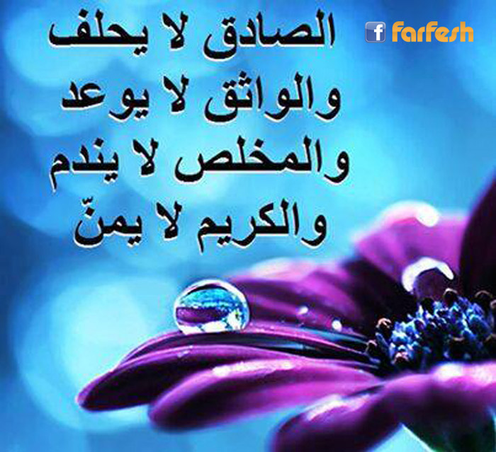 ������ �� ���� �� �����  ����� �� ���� ��� ������