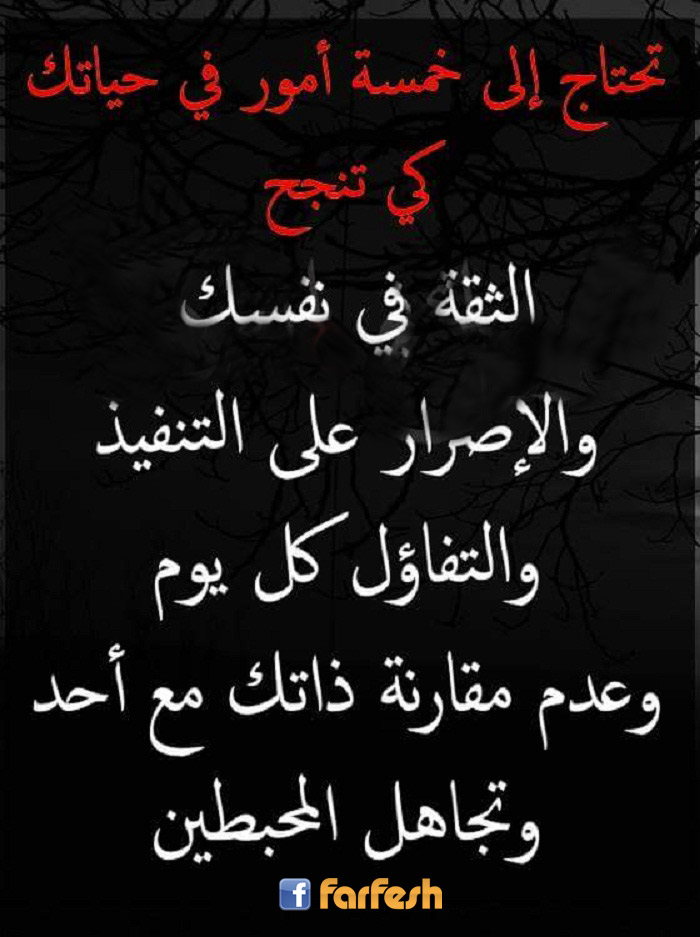 ��� ���� ����� �� �����