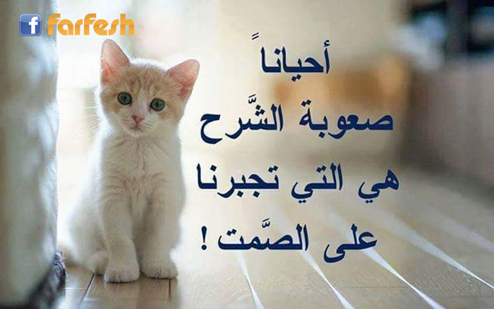 ����� ��� �������