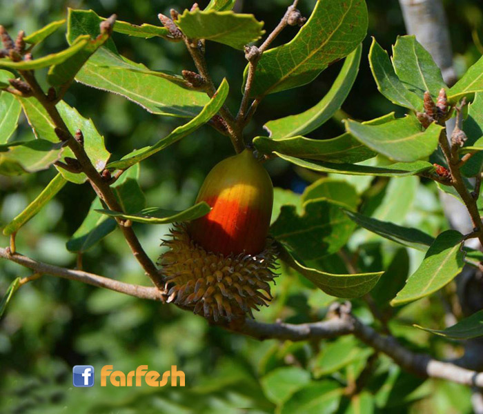 �� ���� �� ���� ������ ����� ��� ������ �� ����� ������