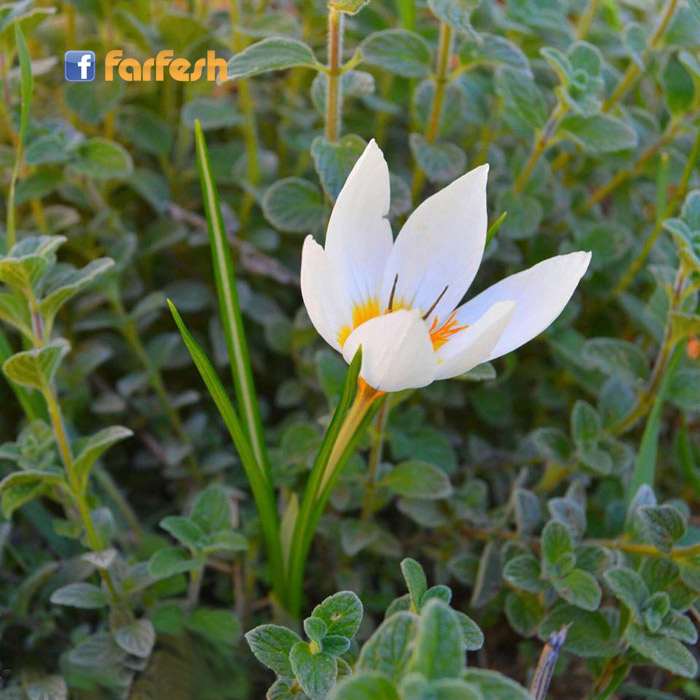 ���� ������� �� ����!