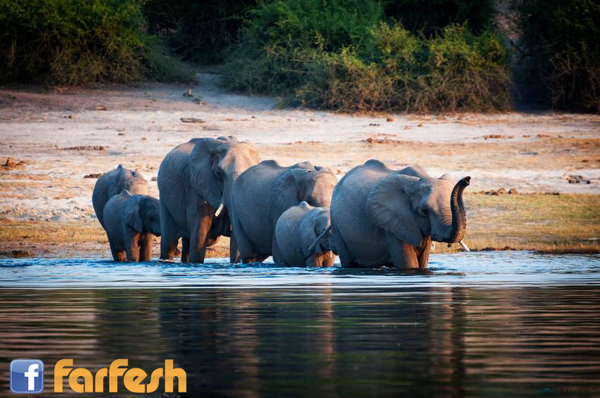 ����� ������ ..����