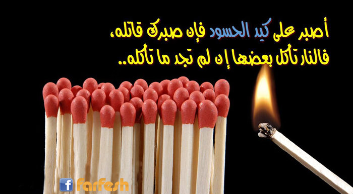 ���� ������ ����