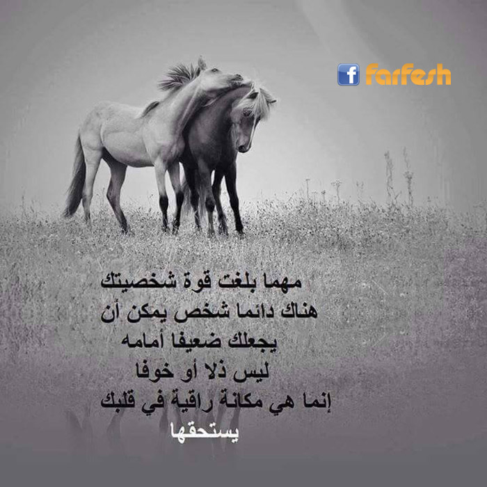 ����� ���� ��� ����� ����