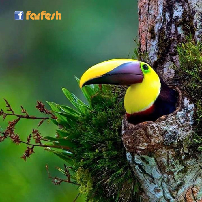 ����� ������