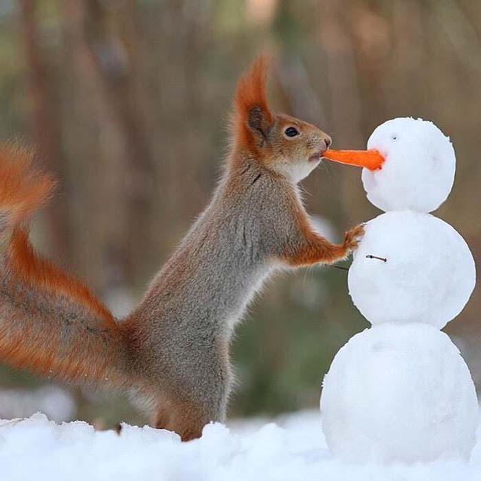 ������ ���� �����