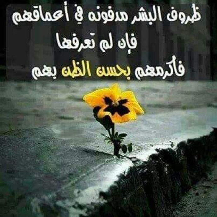 ���� �� ���� ��� ����� ��� ������