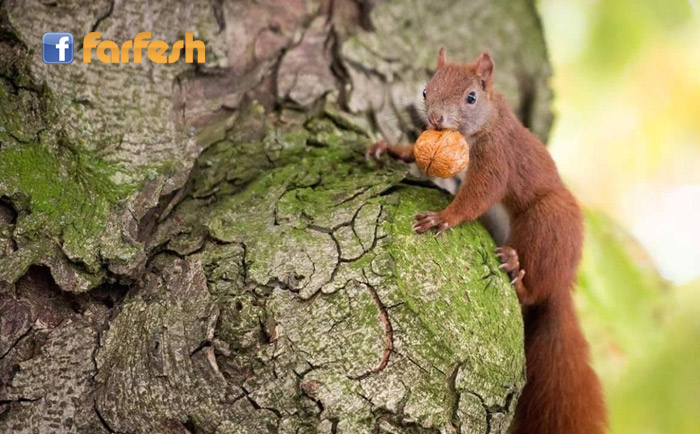 ����� ����� ..�����