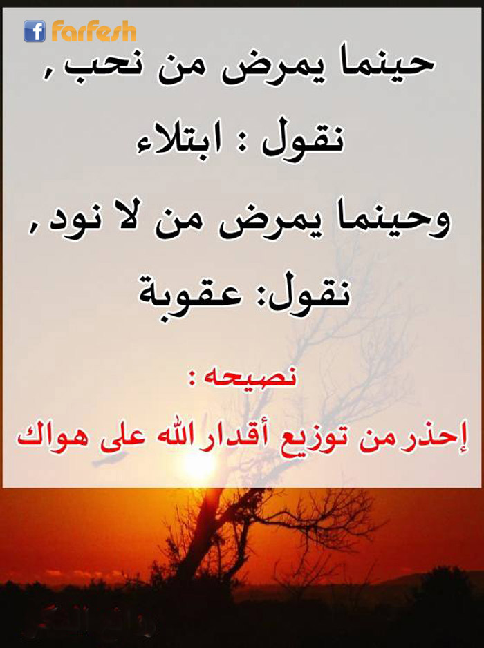 ���� �� ����� ����� ���� ��� ����