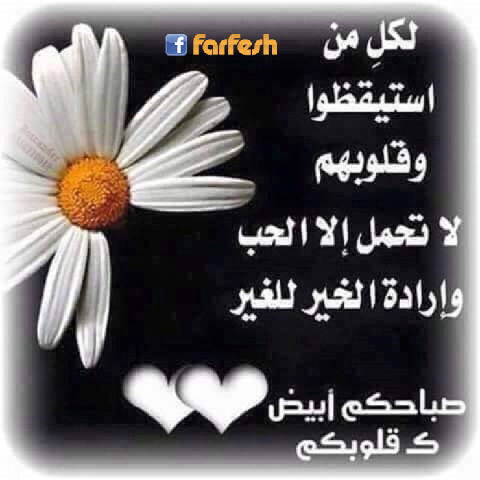 ������ ���� �������