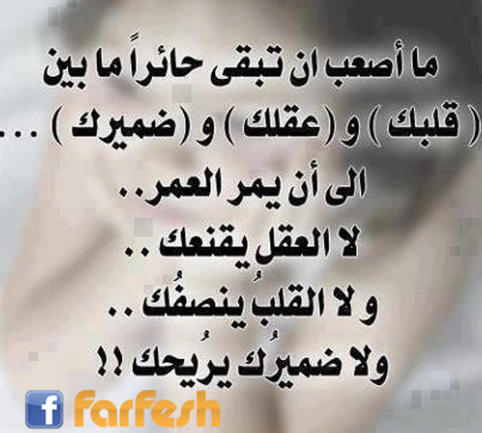 �� ���� ��� ���� �����