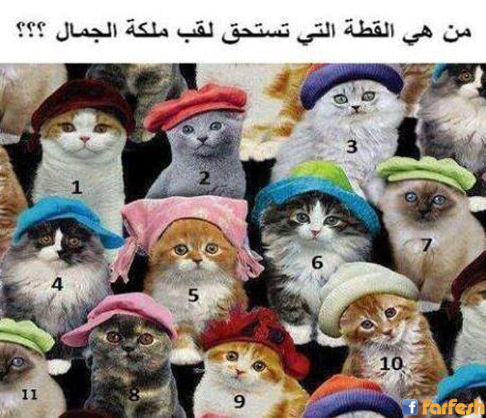 �� ����� ��� ���� �����῿