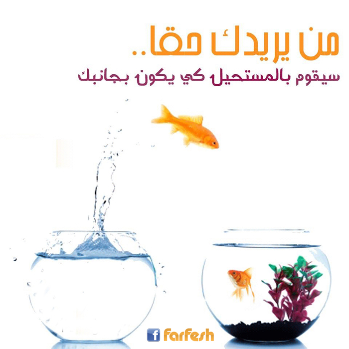 �� ����� ��� ����� ��������� �� ���� ������