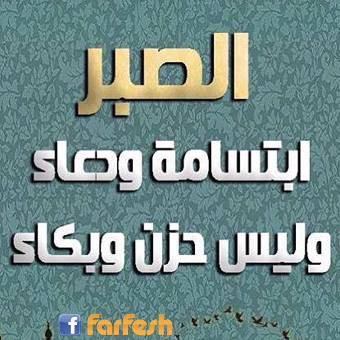 ����� ������� �����