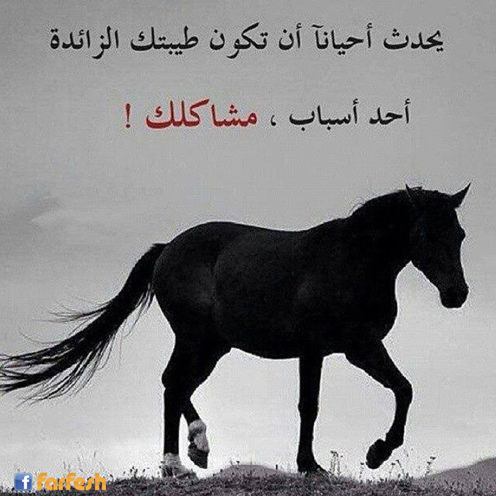 ������ ������� ���� ������