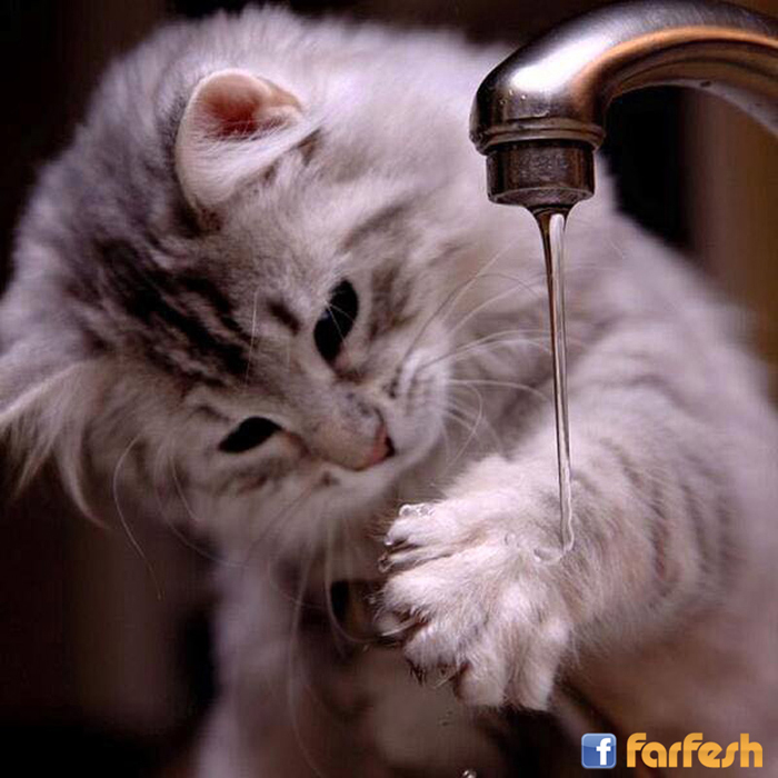 ����� �����!