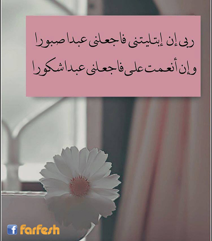 ��� �� �������� ������� ���� ������