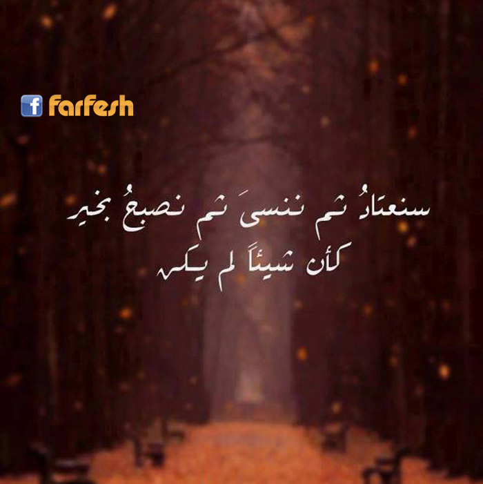 ���� ����� ����� ���� �����