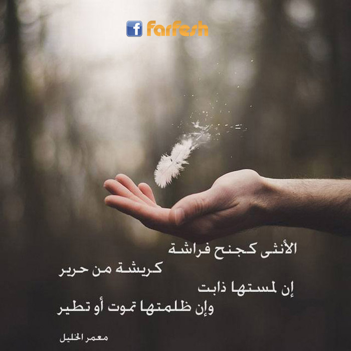 ������ ����� �������