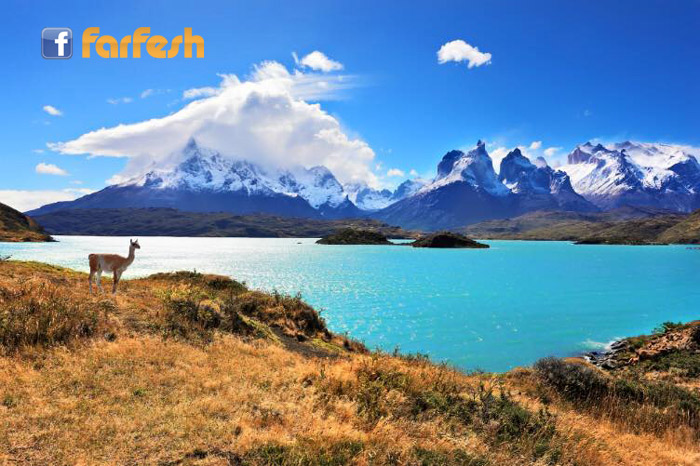 ����� �����- �����