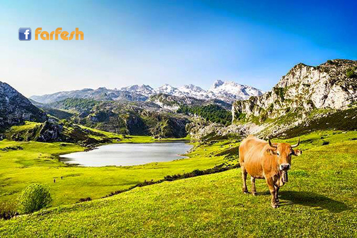 ����� ��������� �� �������