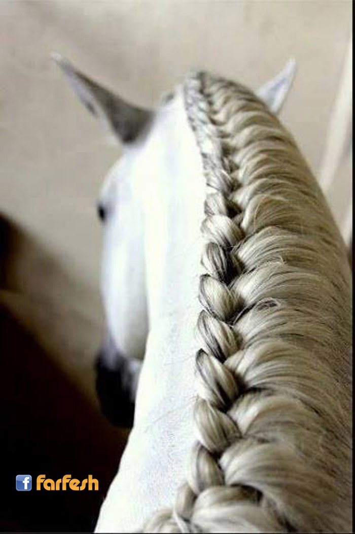 ���� ���� ����