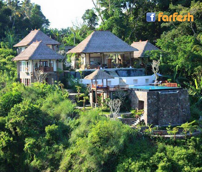 ���� ������