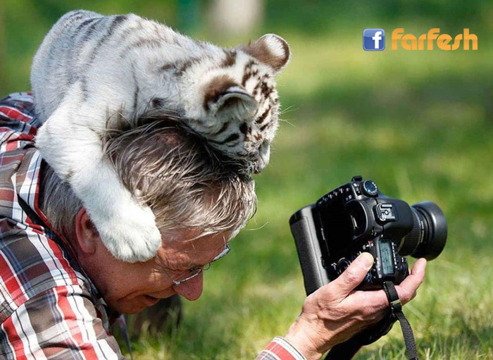 ��� ��� ��� ���ڿ