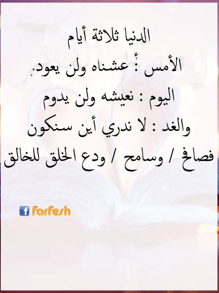 ������ ����� ���� �����