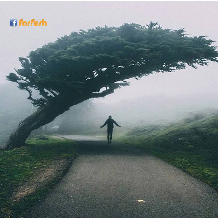 ����� ������ ���� ���