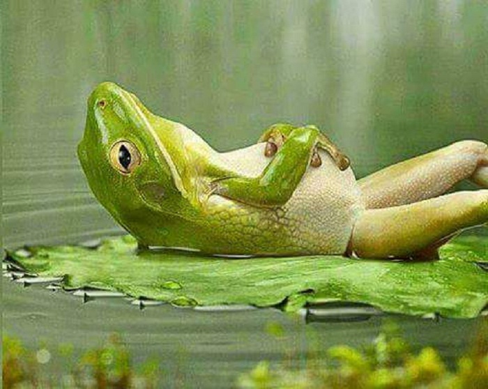 ���� ������