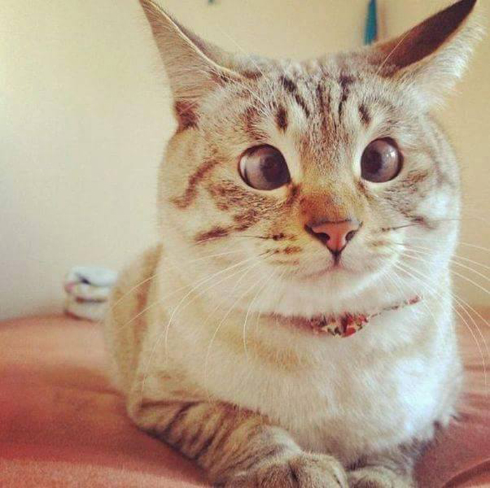 ������ ������ ����!!