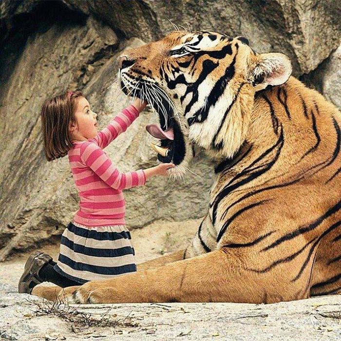 ���� ������ ��� ��� �