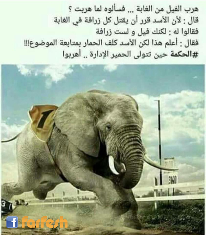 ��� ����� ������ ������� .. ������