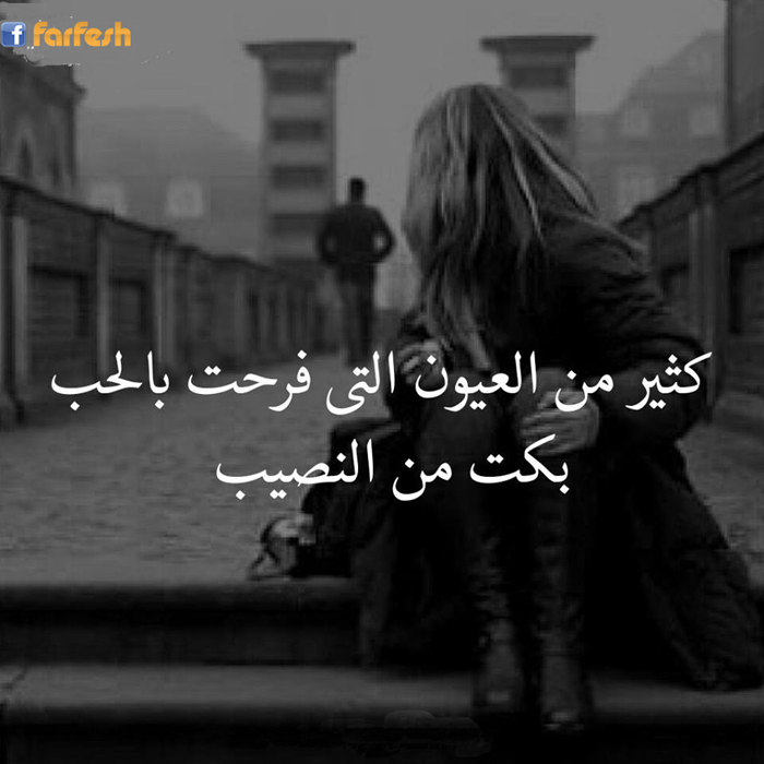 ���� �� ������ ���� ���� ����� ���� �� ������