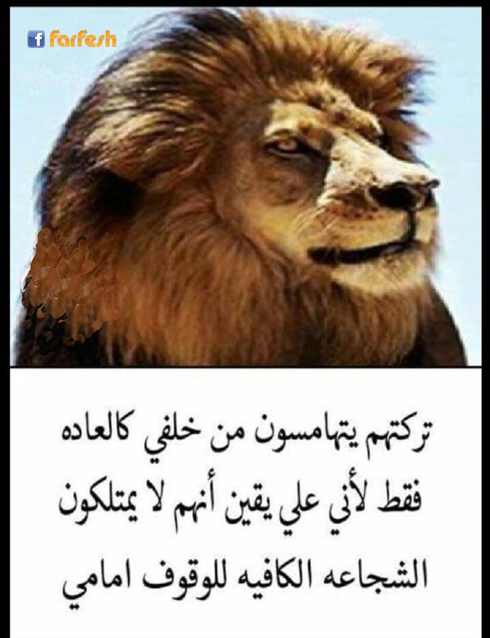 �� ������� ������ �����