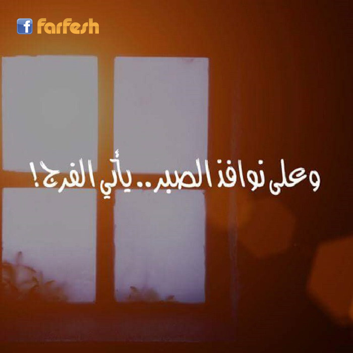 ���� ����� ����� ���� �����