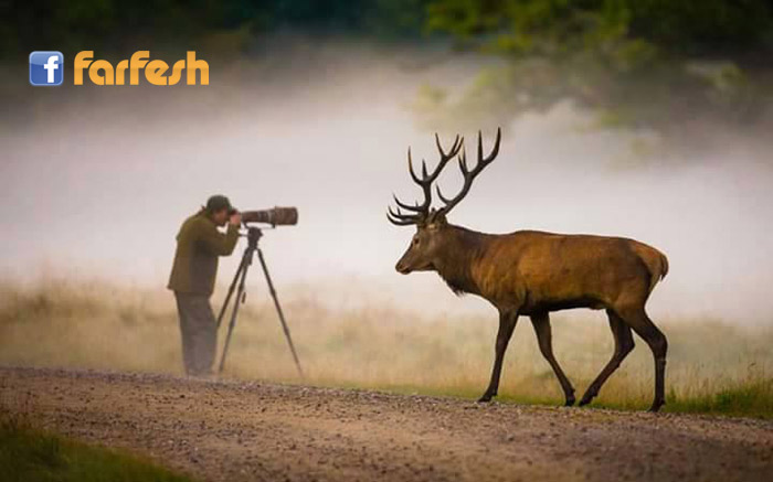 ���� ���� �� �����